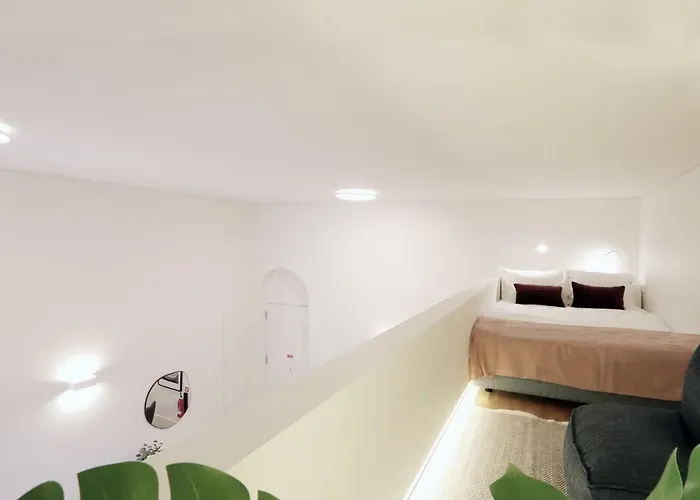 Hm - Cedofeita 500c *